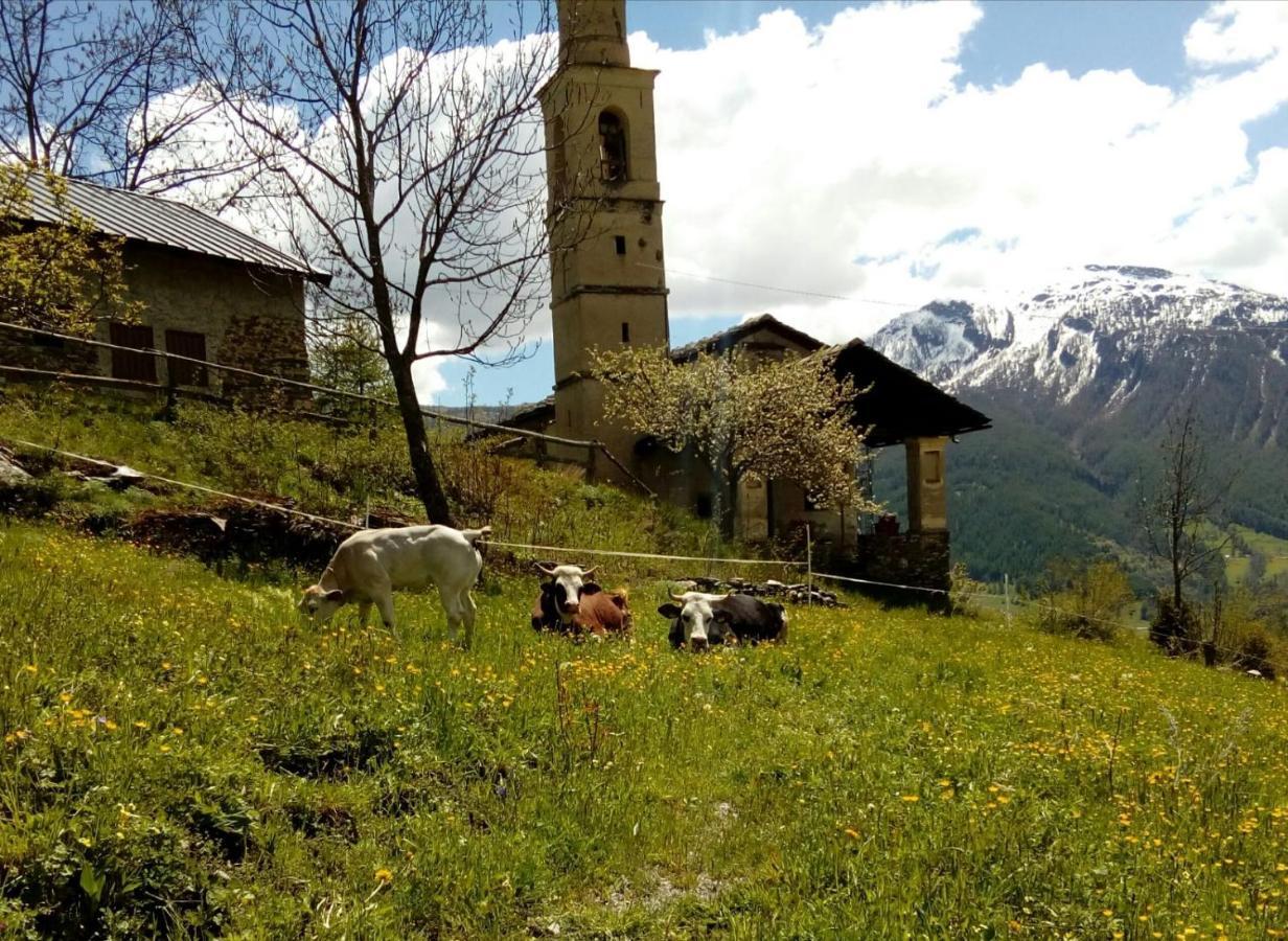 Agri-B&B Lou Col Canosio Exteriér fotografie