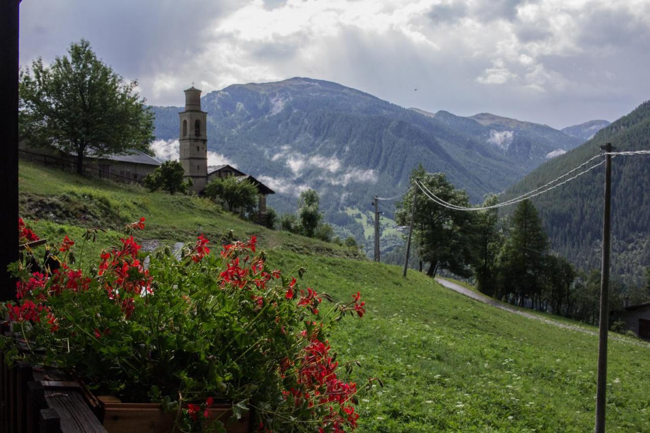 Agri-B&B Lou Col Canosio Exteriér fotografie