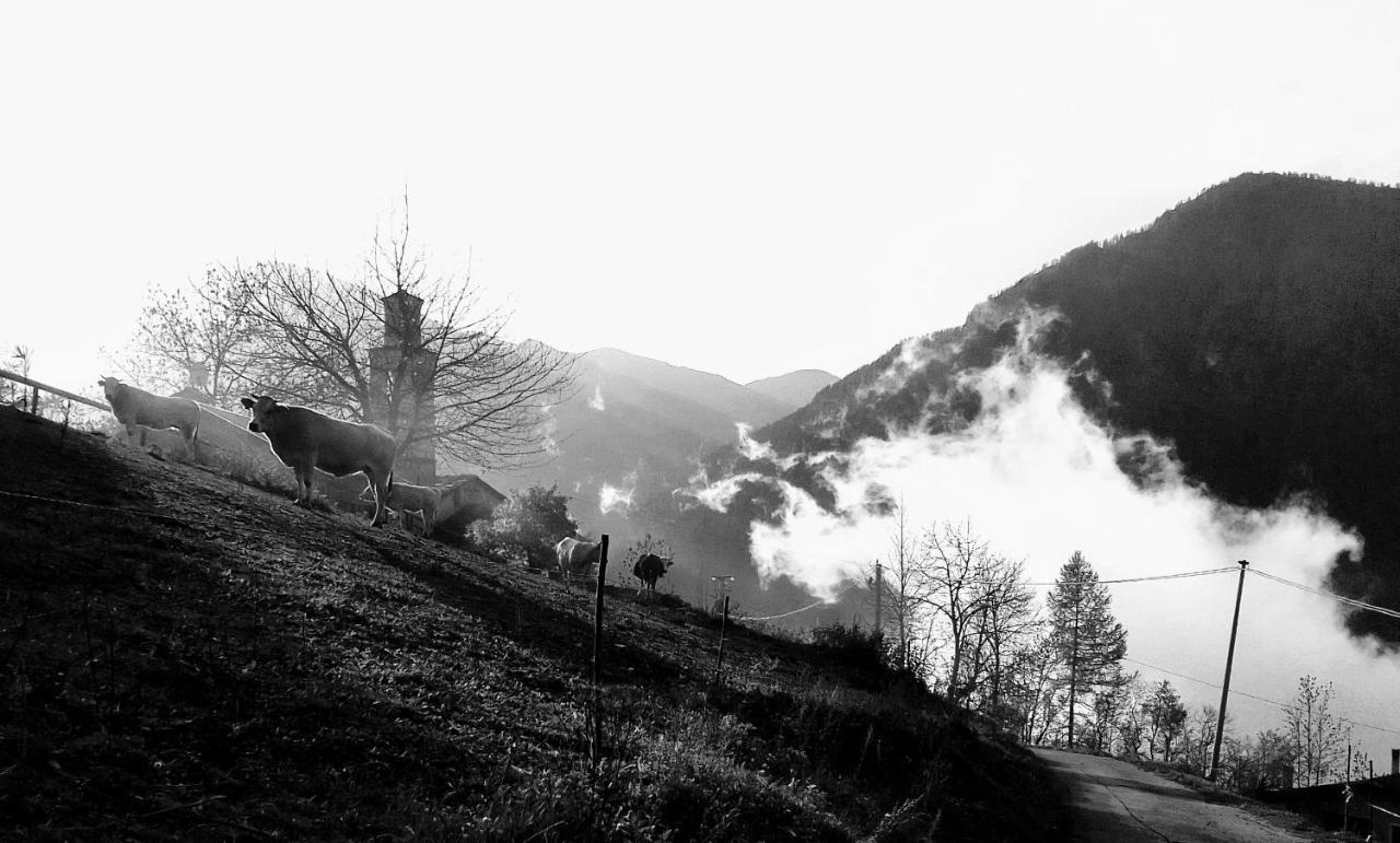 Agri-B&B Lou Col Canosio Exteriér fotografie